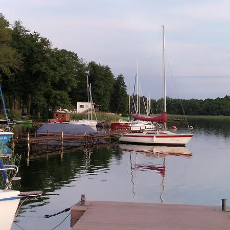 Magiczny * Drzewoszewo