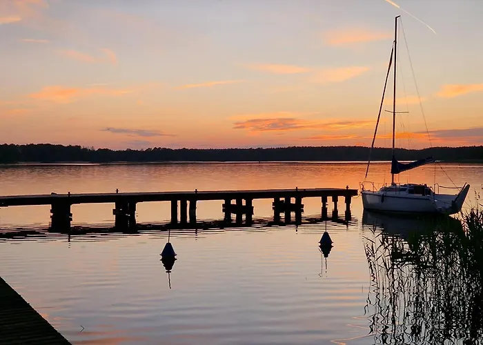 Magiczny Drzewoszewo